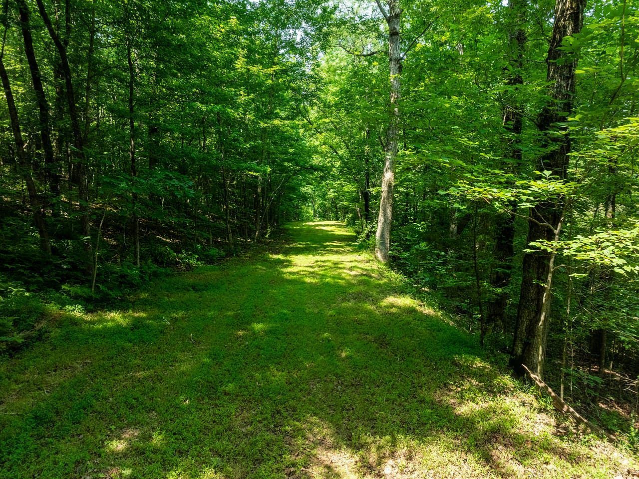 Sweet Gum Rd Batesville, AR 72501 - Thumbnail 4