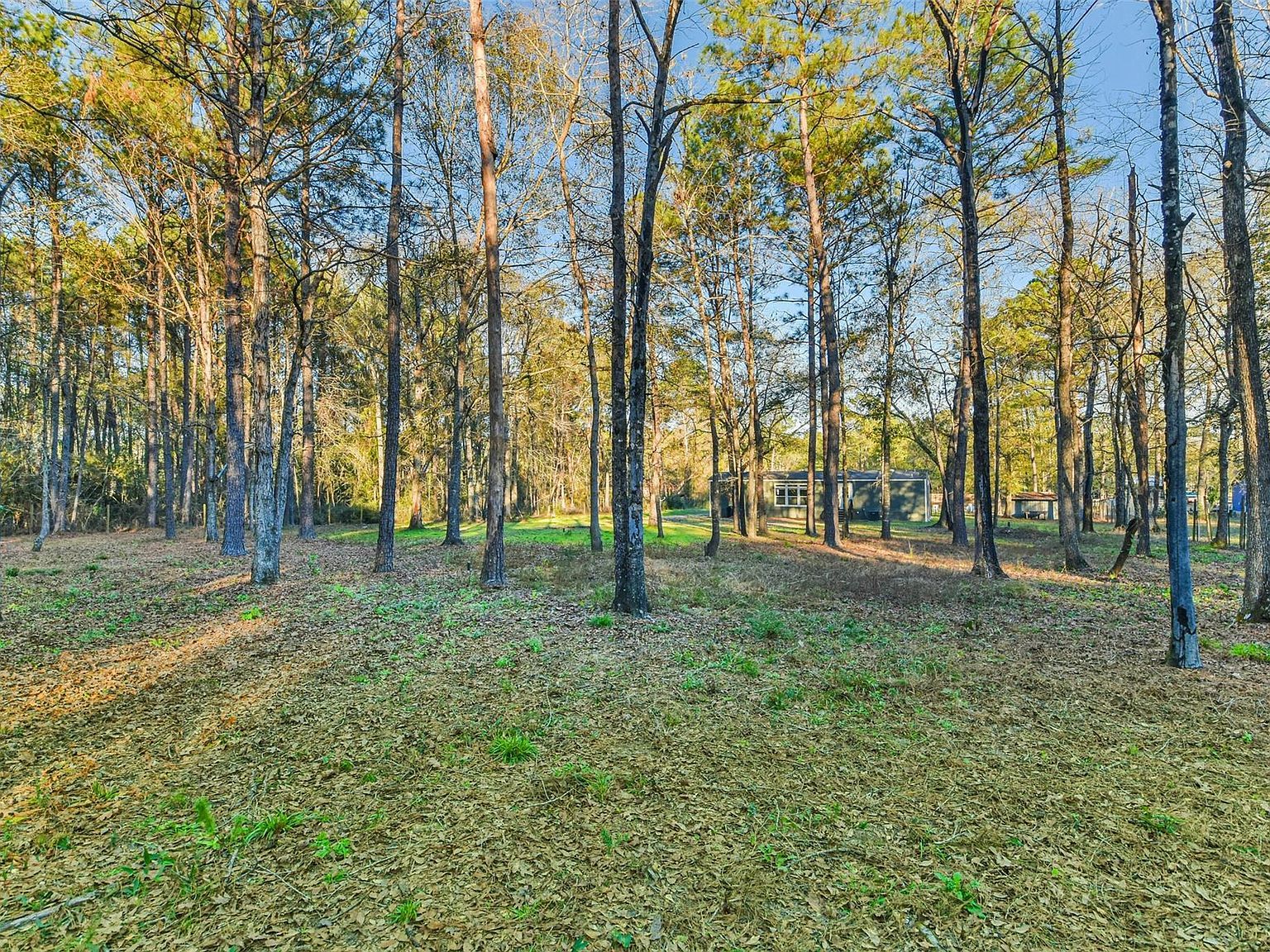 150 Maurine Ln Cleveland, TX 77328 - Thumbnail 4