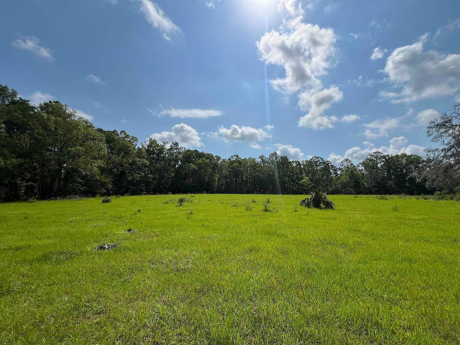 Vacant Woods Creek Rd Perry, FL 32347 - Thumbnail 4