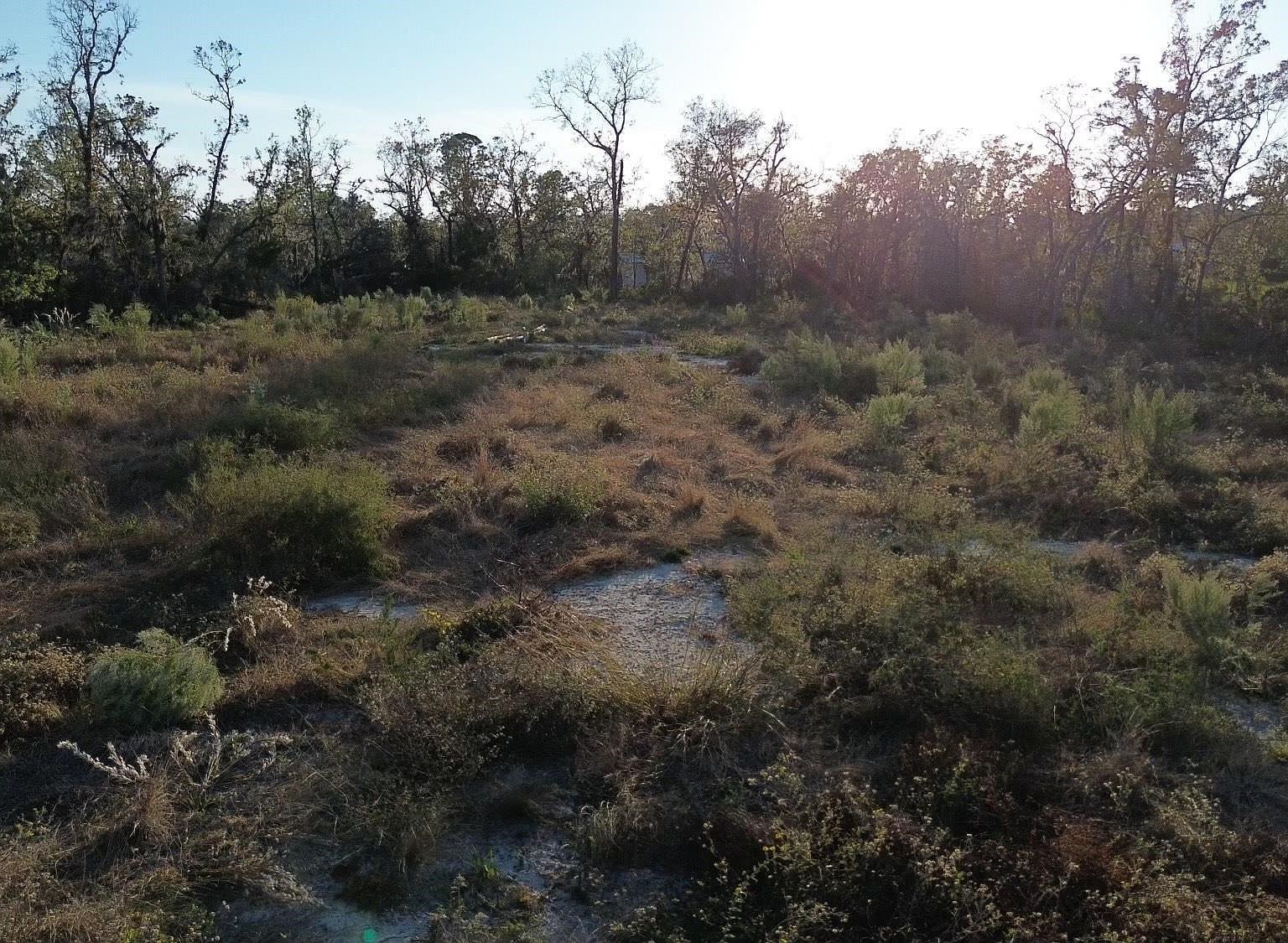 LOT 1 E Royal Oak Dr Perry, FL 32348 - Thumbnail 4