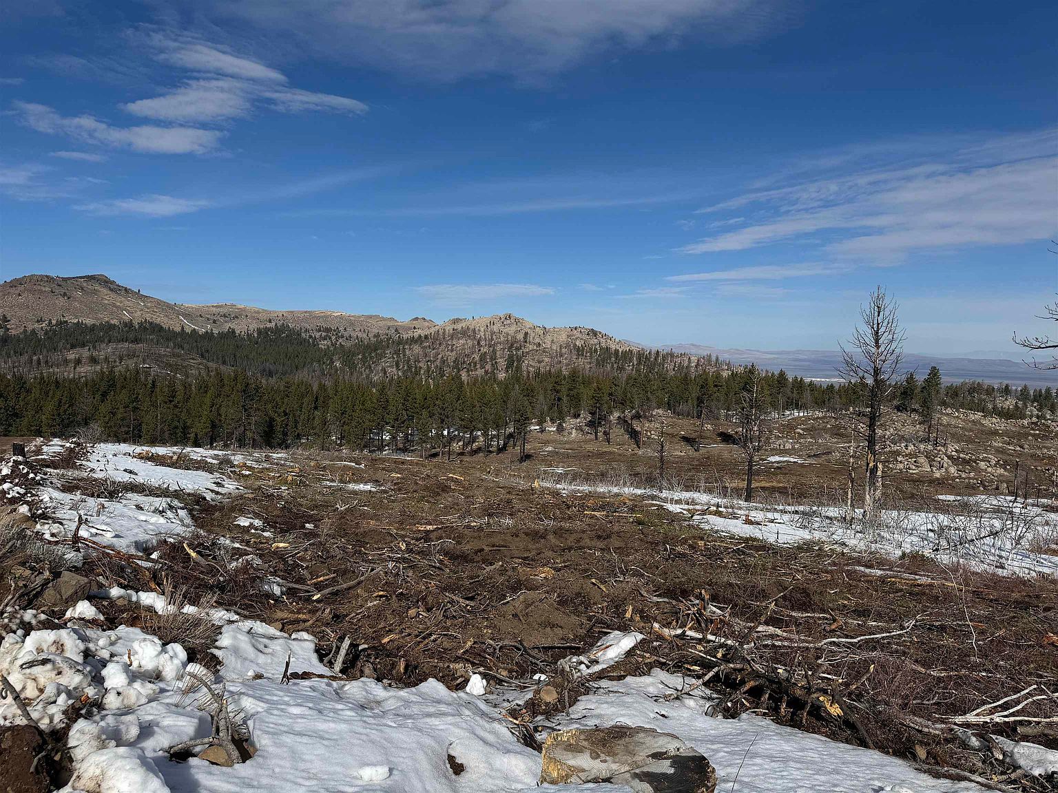 434-100 Diamond Mountain Rd Doyle, CA 96109 - Thumbnail 4