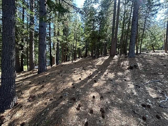 2179 Navajo Dr Arnold, CA 95223 - Thumbnail 4