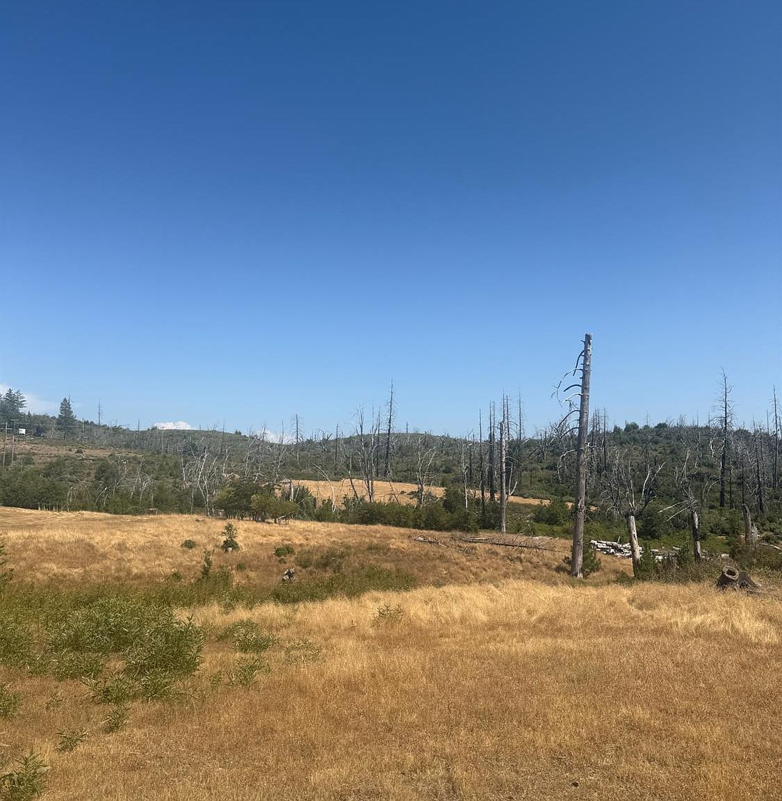 17074 Betty Kaye Ln Mountain Ranch, CA 95246 - Thumbnail 4