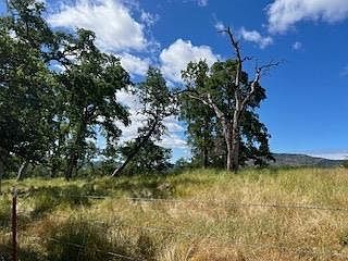 362 Blair Mine Rd Angels Camp, CA 95222 - Thumbnail 4