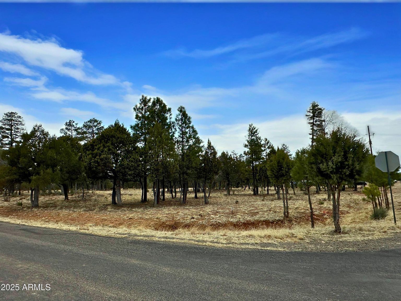 2120 Aztec Cir #171 Happy Jack, AZ 86024 - Thumbnail 4