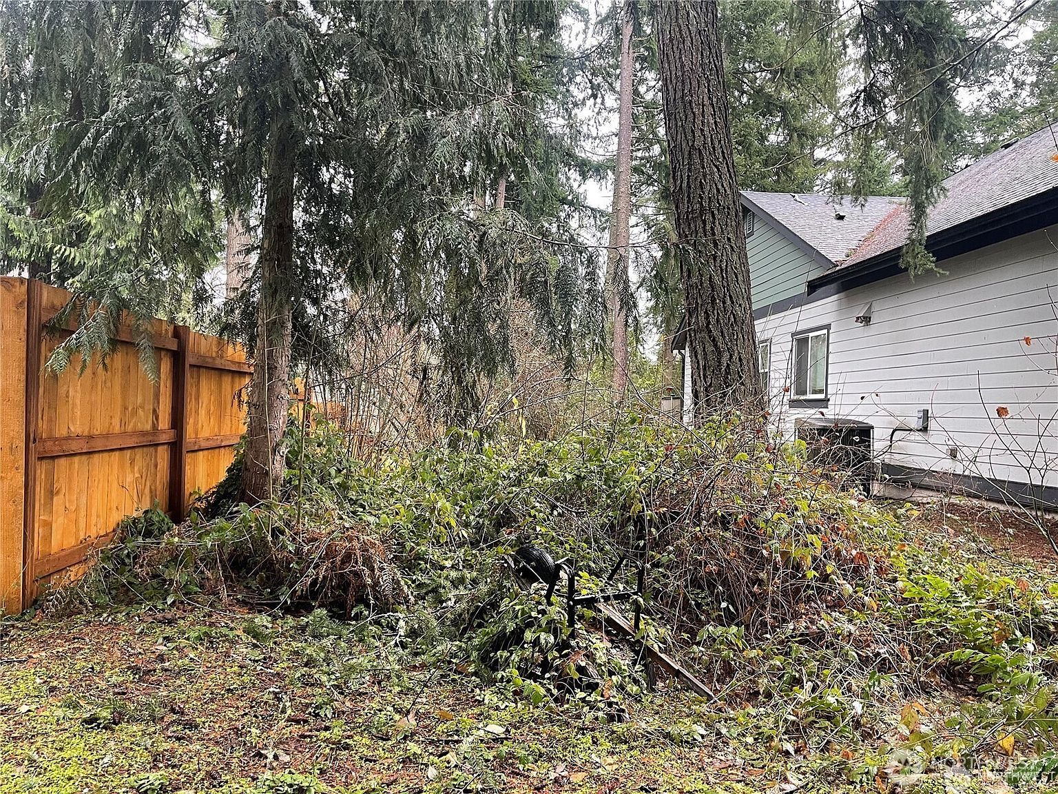 17616 Vine Ln SE Yelm, WA 98597 - Thumbnail 4