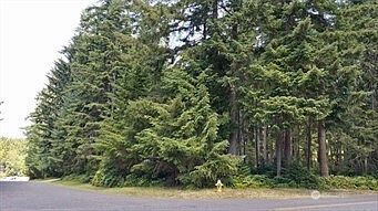 10211 Tahoma Dr Anderson Island, WA 98303 | Land/Lot
