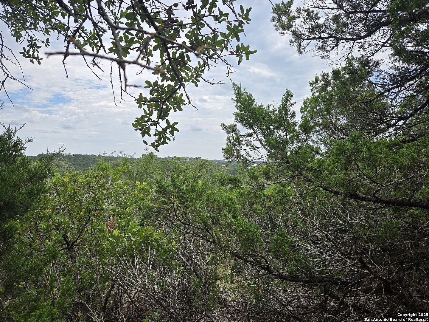 0 Beartooth Pass #31 San Antonio, TX 78255 - Thumbnail 4