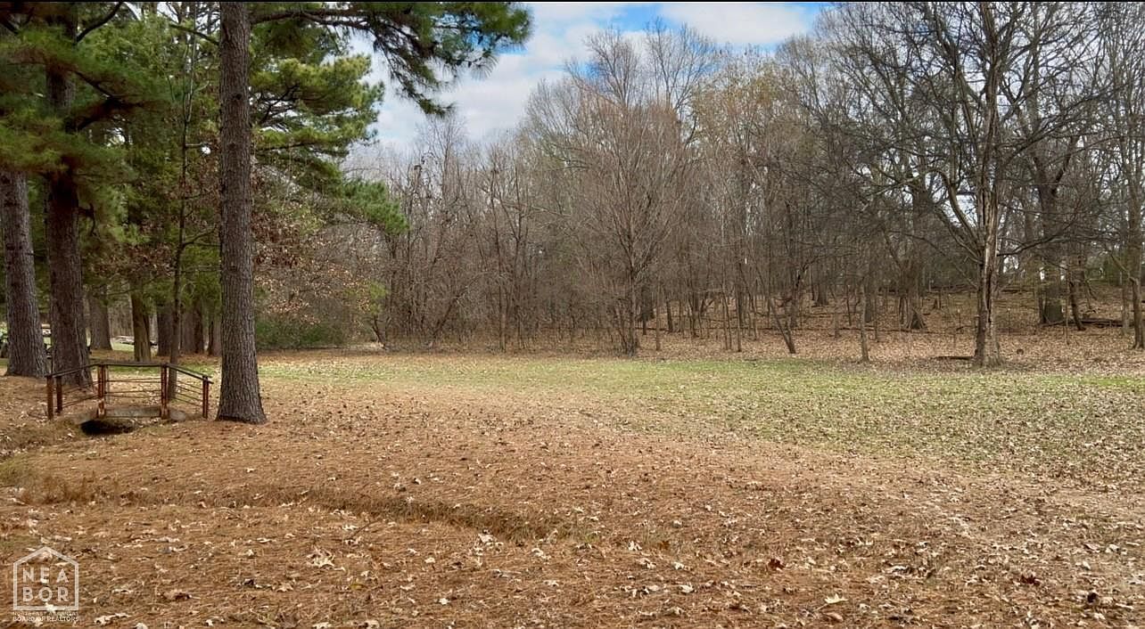 20419 Morning Sun Rd Harrisburg, AR 72432 - Thumbnail 4