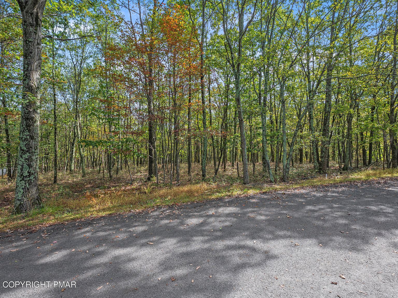 Stone Ridge Rd Albrightsville, PA 18210 - Thumbnail 4