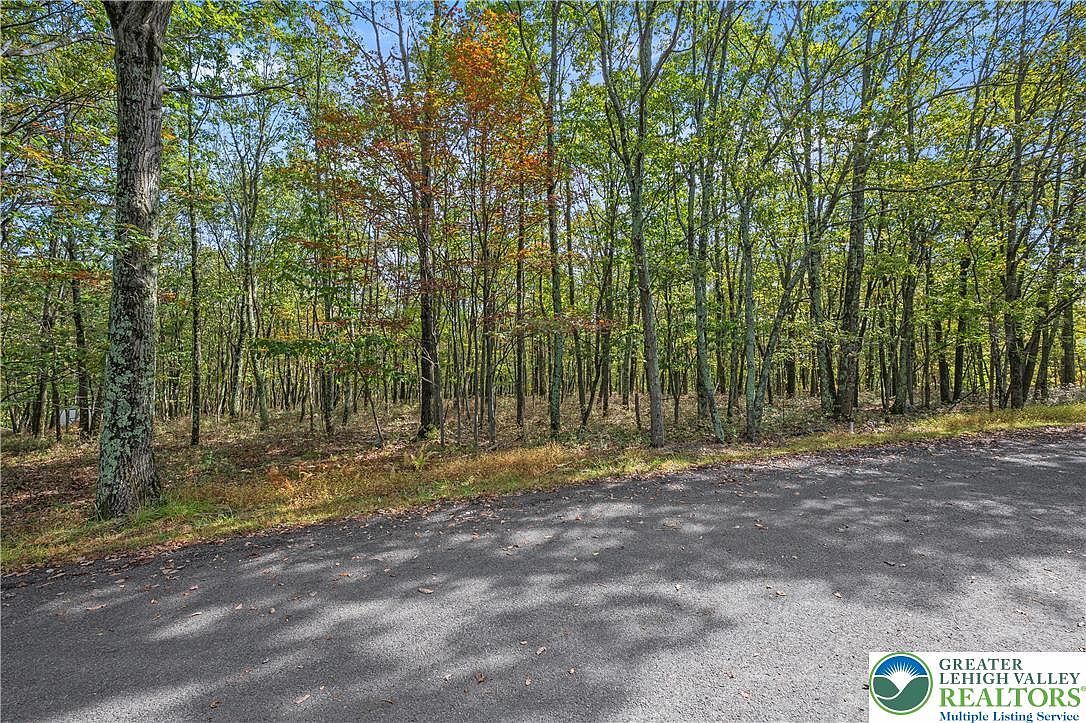 0 Stone Ridge Rd Albrightsville, PA 18210 - Thumbnail 4