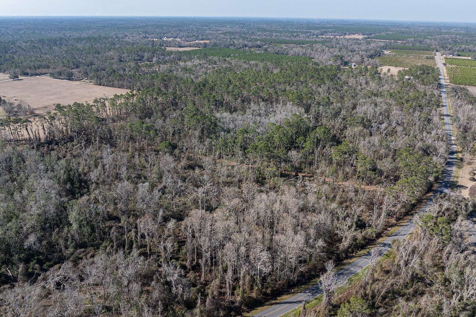 136 Tbd Cir #A Live Oak, FL 32060 - Thumbnail 4