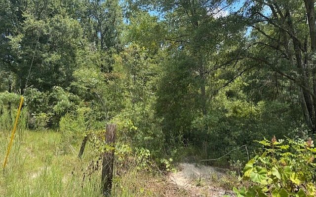 Tbd 208th St Obrien, FL 32071 - Thumbnail 4