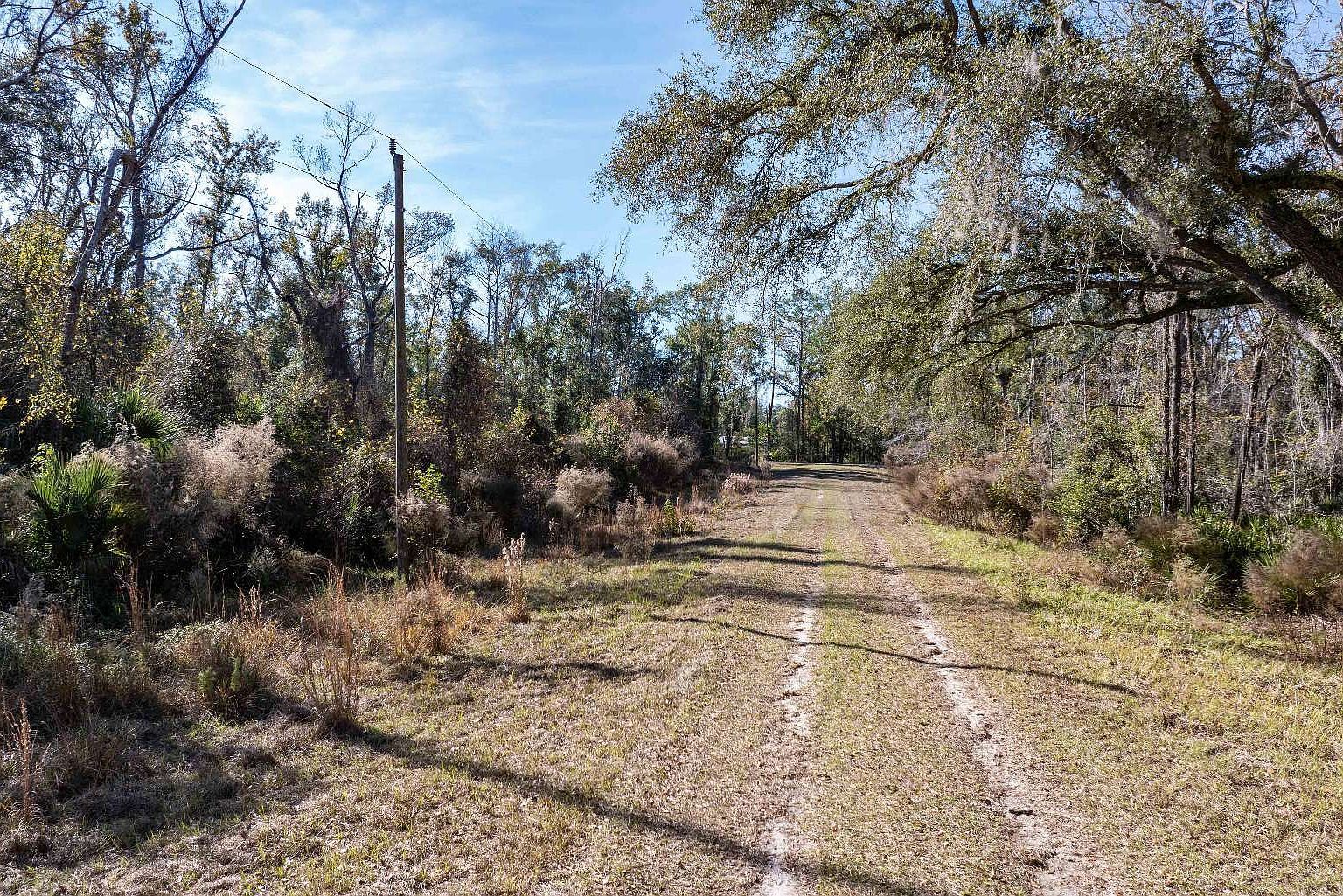 LOT 217th Trl Live Oak, FL 32060 - Thumbnail 4