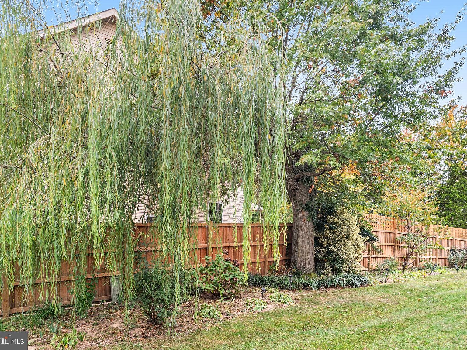 3444 Washington Dr Falls Church, VA 22041 - Thumbnail 4