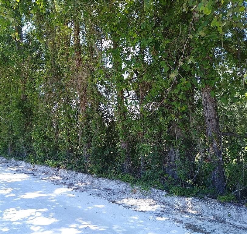 NE County Road 138 #6768, Branford, FL, 32008 - Thumbnail 4