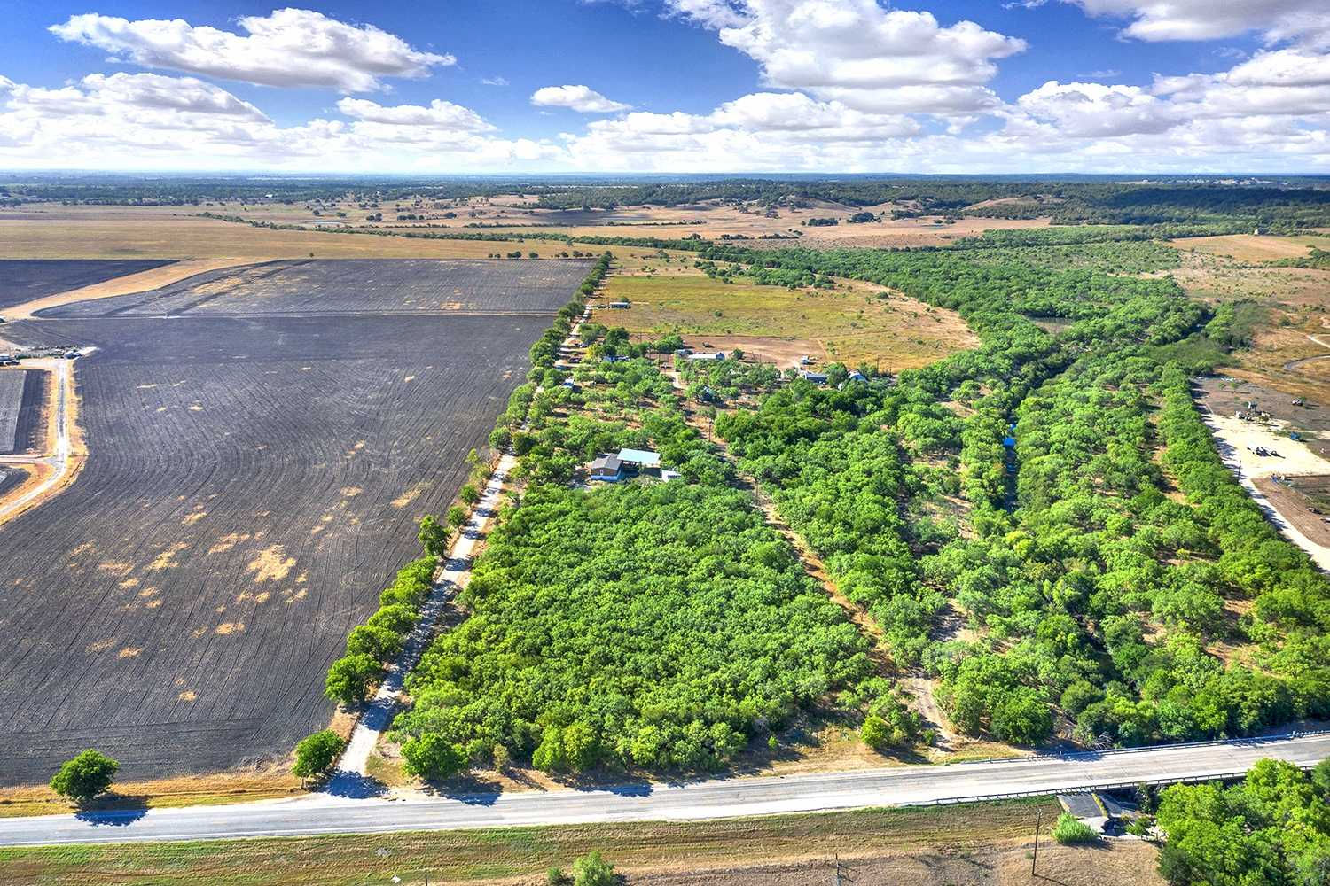 12969 Farm to Market 20, Kingsbury, TX, USA, 78638 - Thumbnail 4