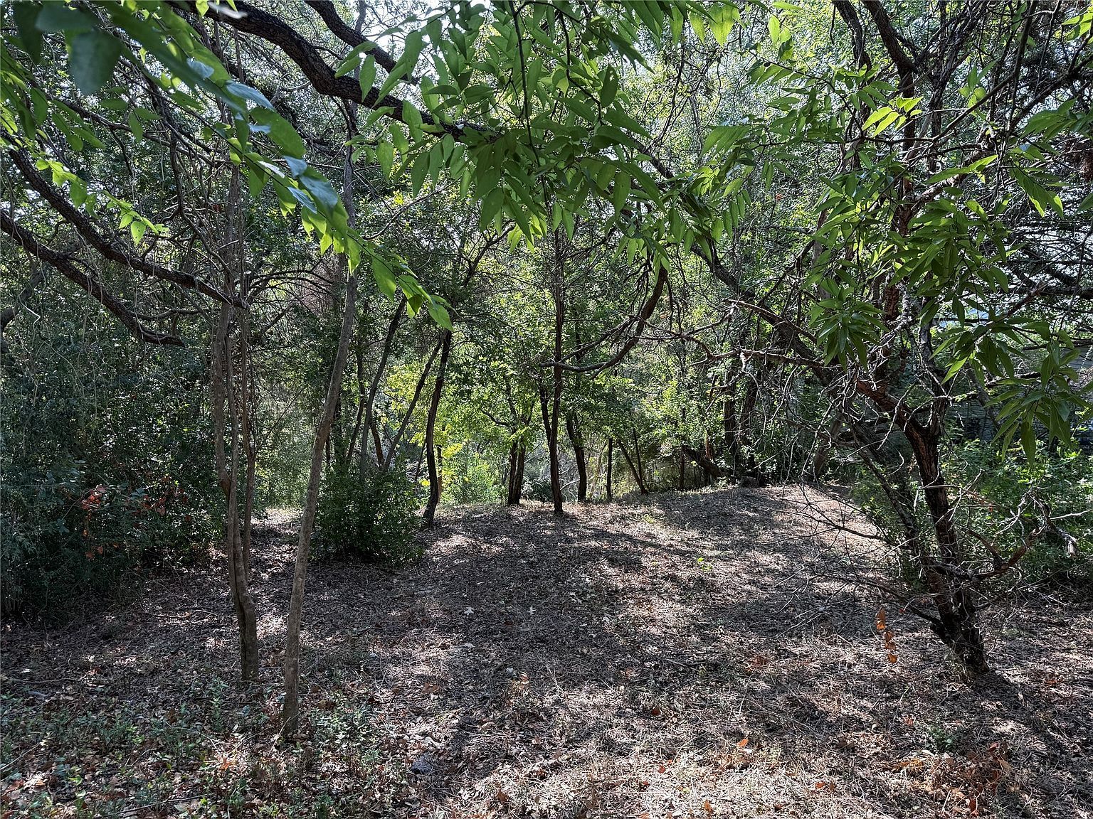 1011 Hidden Cove Trl Granbury, TX 76049 - Thumbnail 4