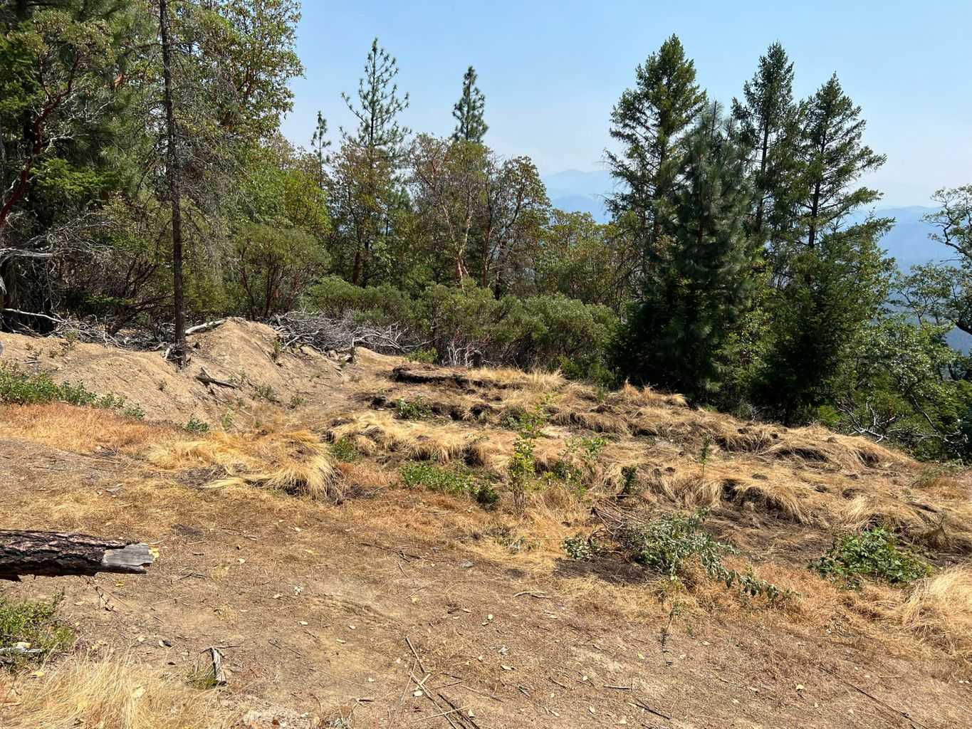 Arrowhead Pass, Jacksonville, OR, 97530 - Thumbnail 4