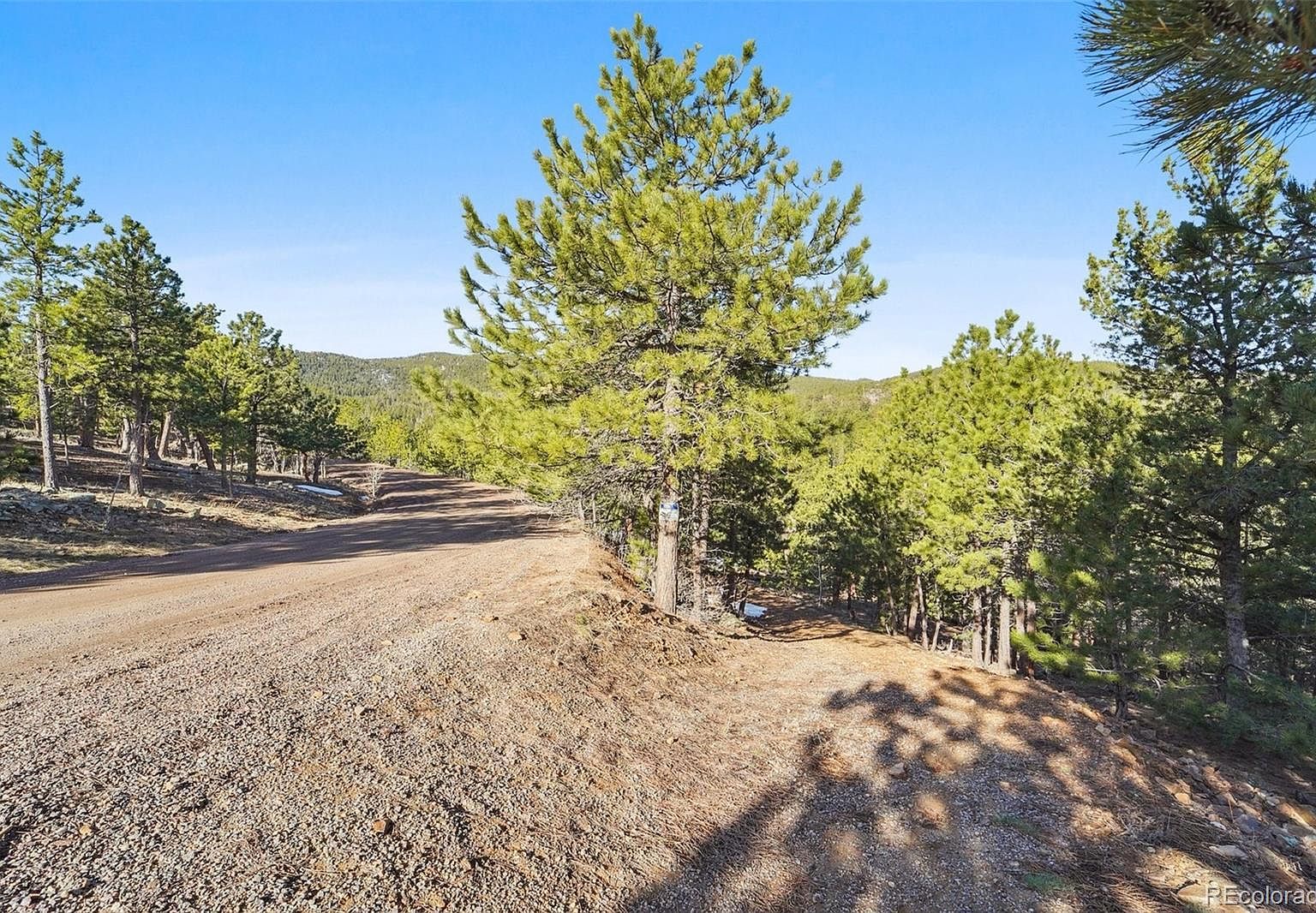 854 Crescent Lake Rd #29 Golden, CO 80403 - Thumbnail 4