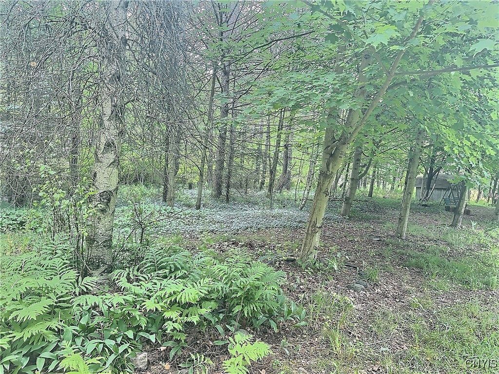 3776 State Highway 80 #8 Sherburne, NY 13460 - Thumbnail 4