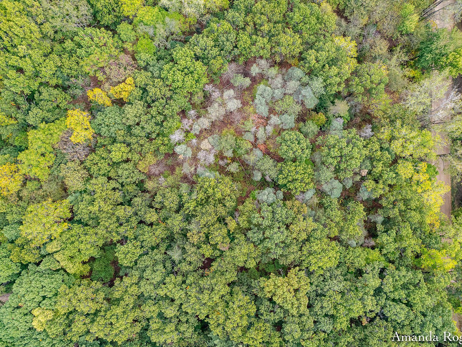 0 Sayles Rd Saranac, MI 48881 - Thumbnail 4