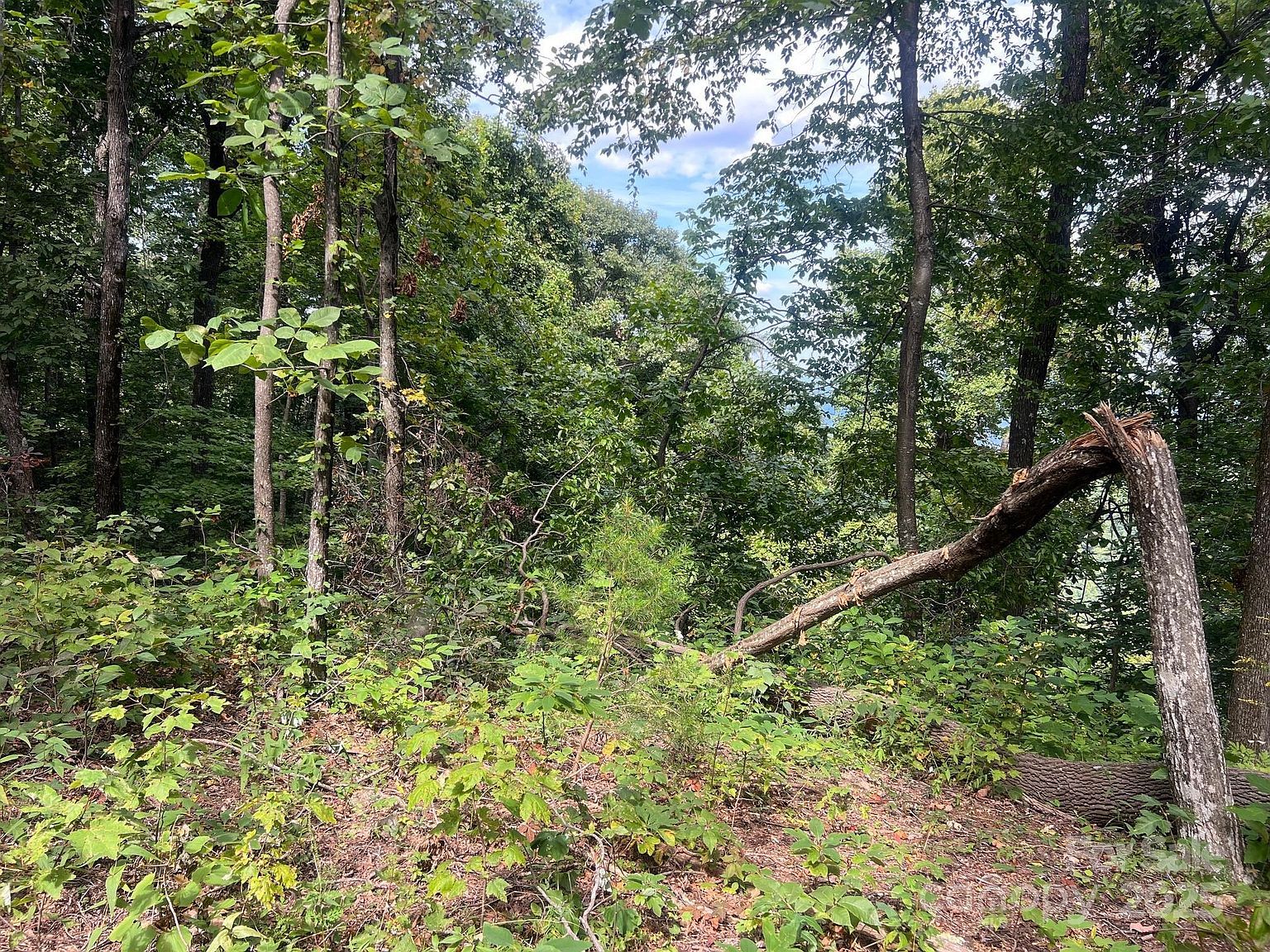 6792 Silver Creek Ln Morganton, NC 28655 - Thumbnail 4