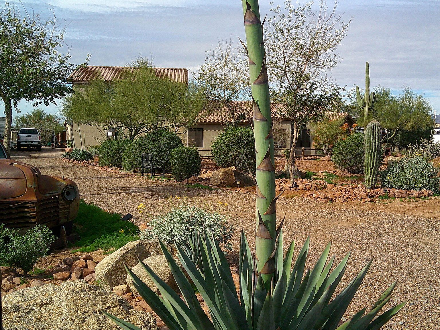 1502 S Prospectors Rd Apache Junction, AZ 85119 - Thumbnail 4