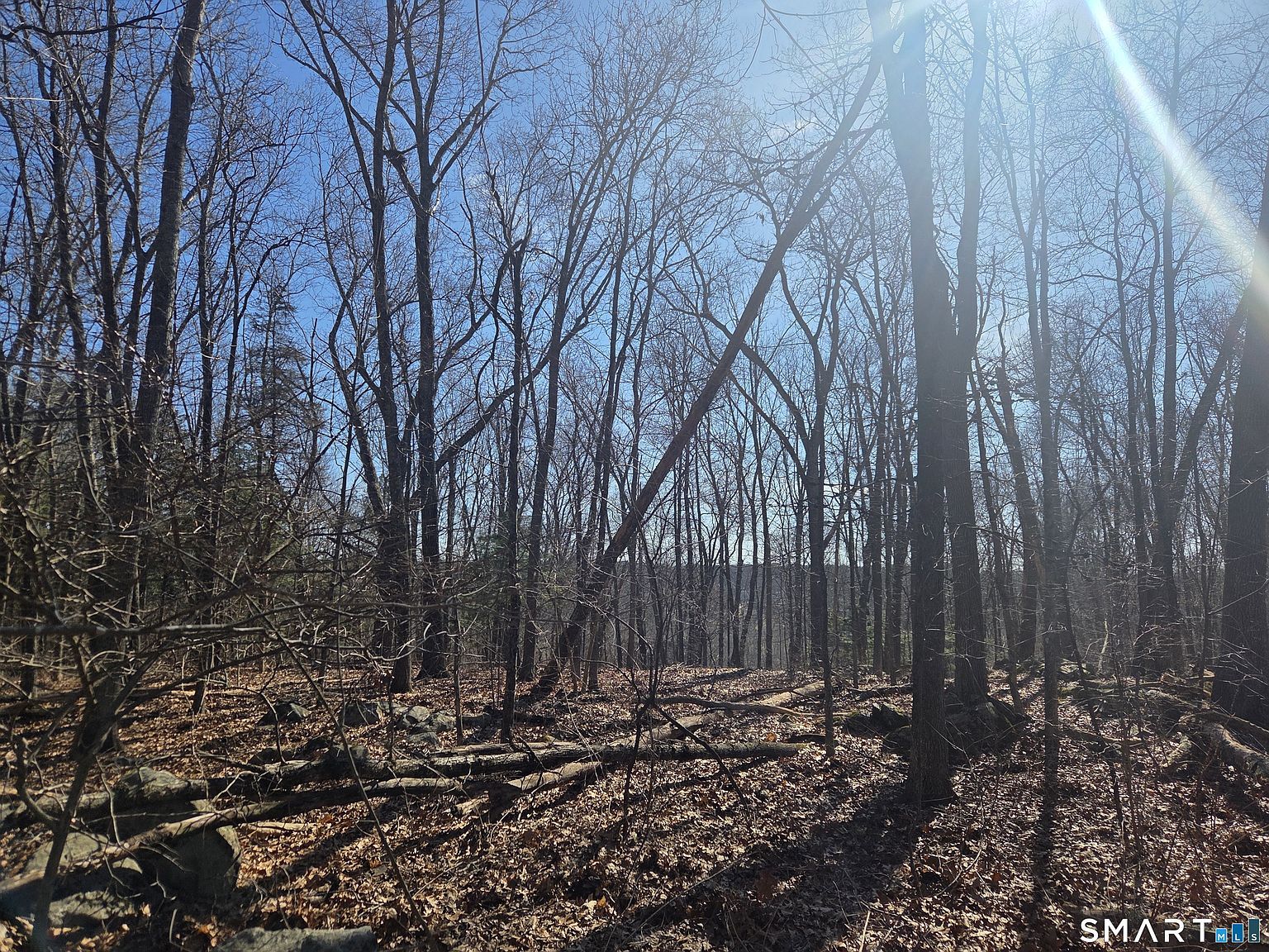 0 Green Hollow Rd Moosup, CT 06354 - Thumbnail 4