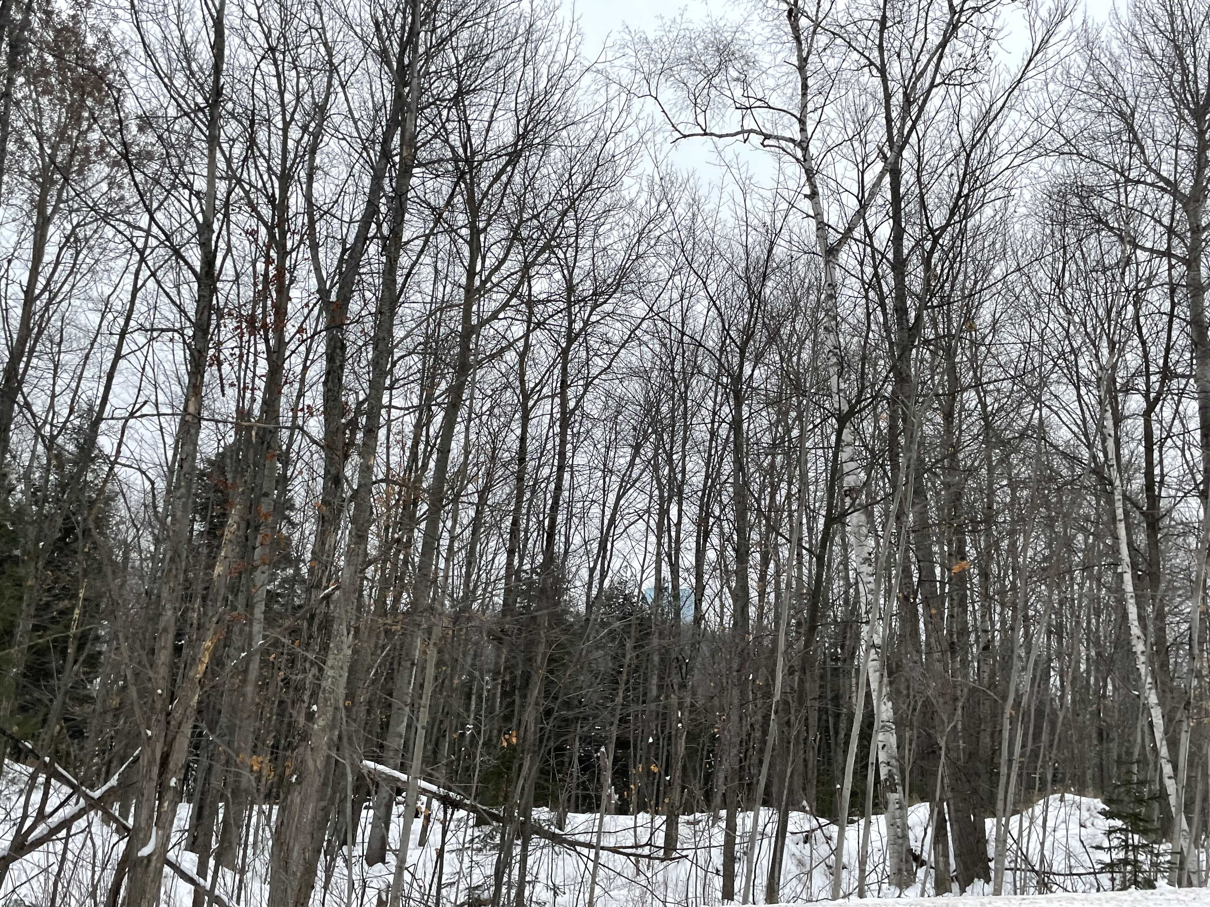 740 Grove Street, Marquette, MI, USA, 49855 - Thumbnail 4