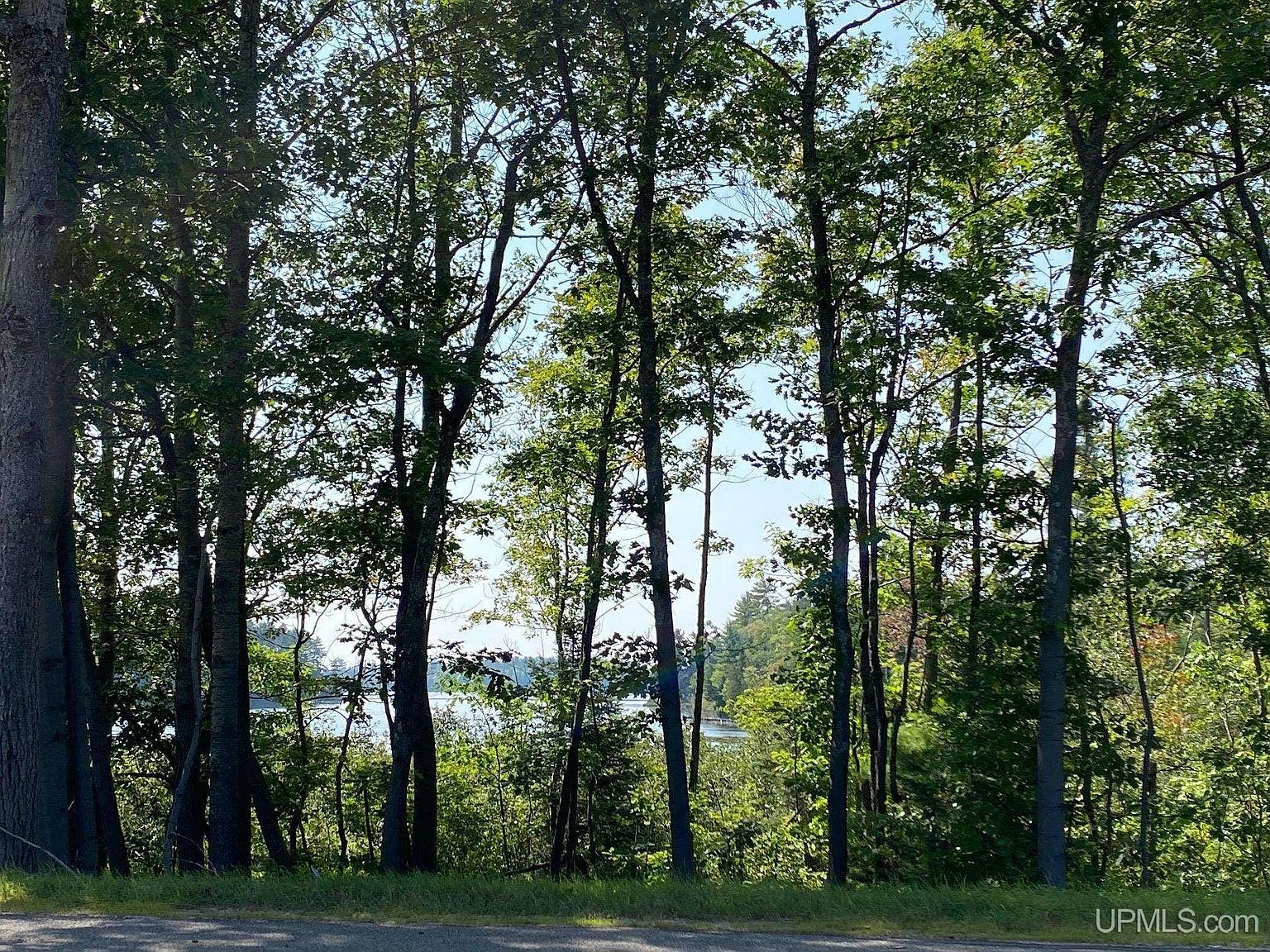 0 M 35 Little Lake, MI 49833 - Thumbnail 4