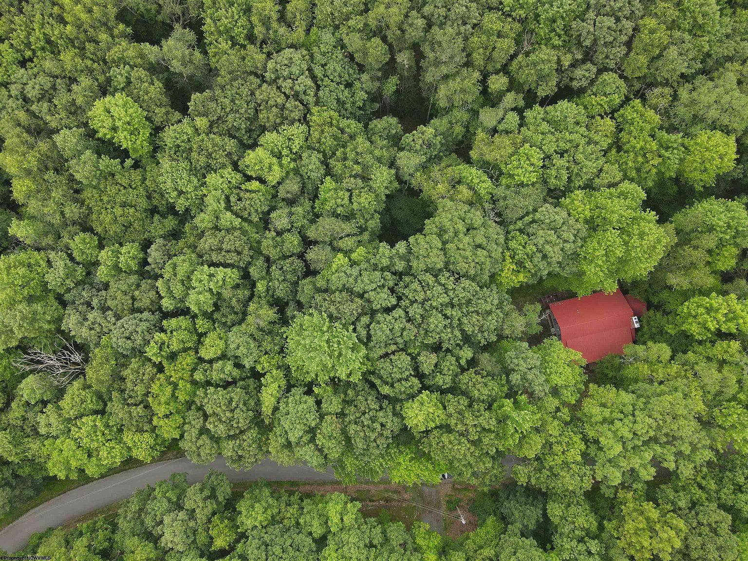 120 Hemlock Cir Terra Alta, WV 26764 - Thumbnail 4