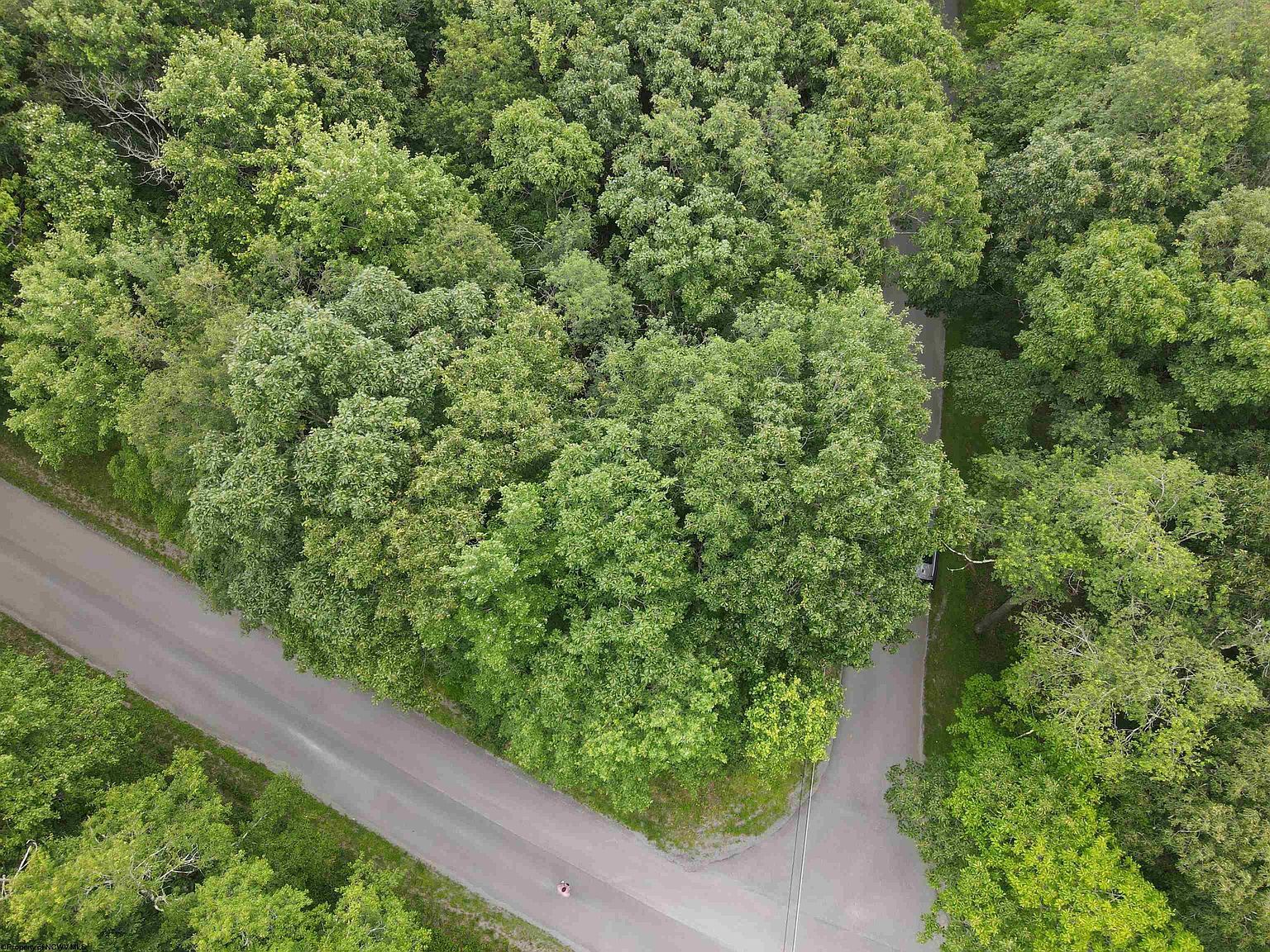 138 Day Lily Cir Terra Alta, WV 26764 - Thumbnail 4