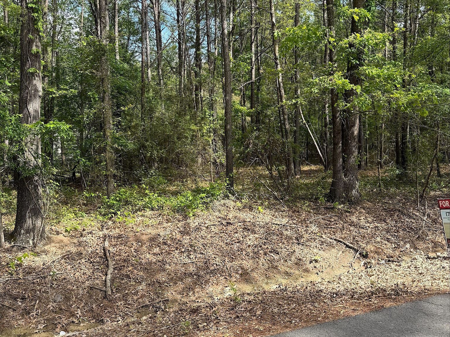0 Sandwood Dr Keithville, LA 71047 - Thumbnail 4