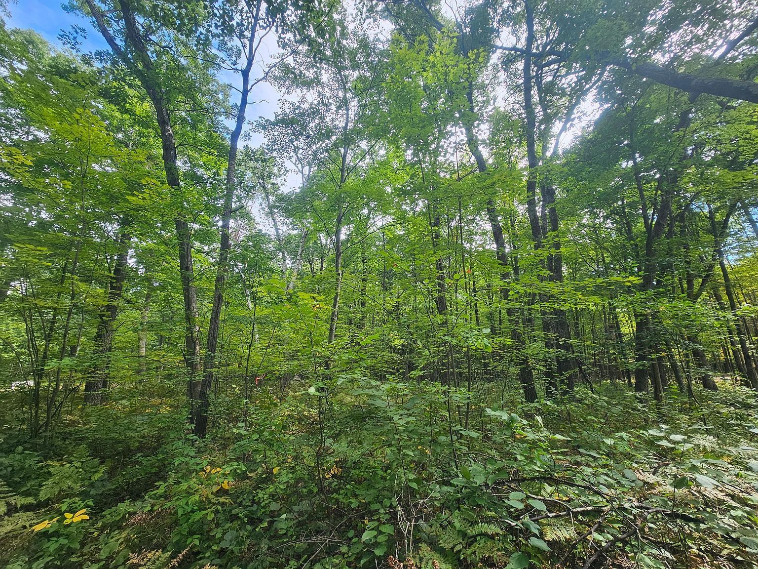 LOT 5 Ken Can Ln Webster, WI 54893 - Thumbnail 4