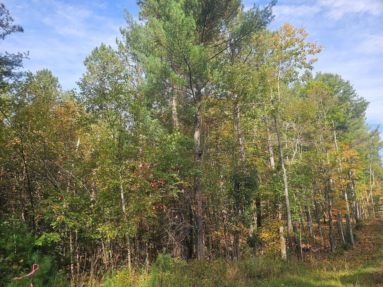 County Road H Rd Danbury, WI 54830 - Thumbnail 4