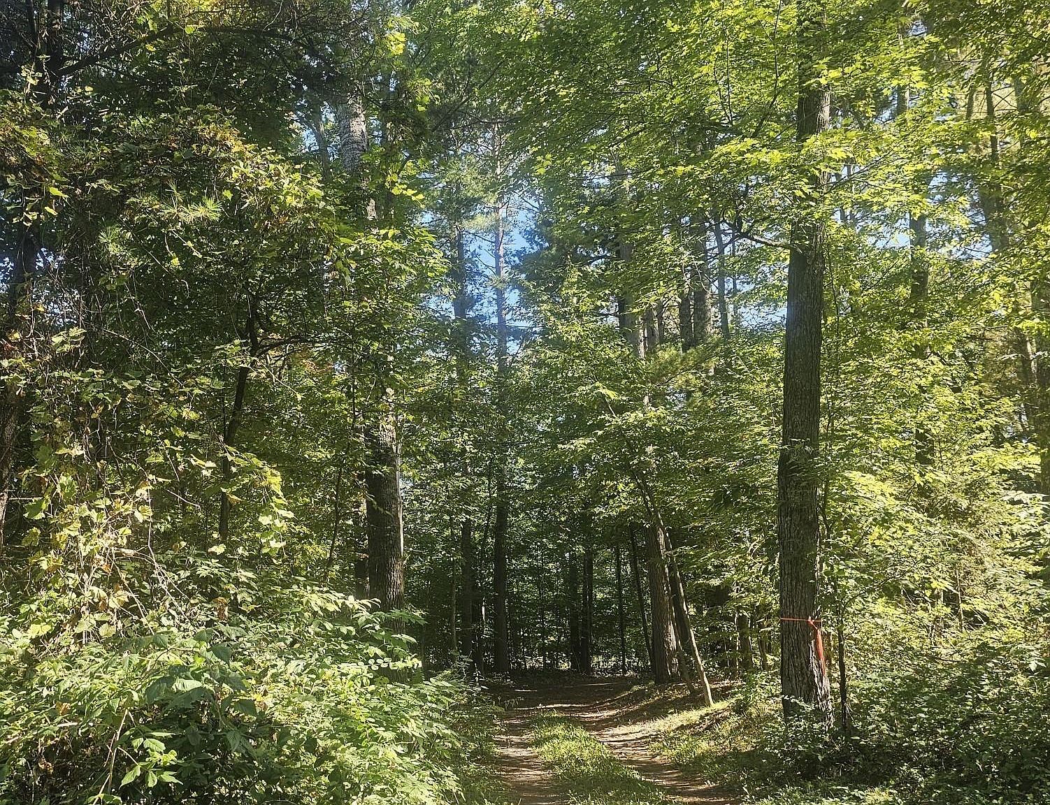 Xx E Bass Lake Rd Webster, WI 54893 - Thumbnail 4