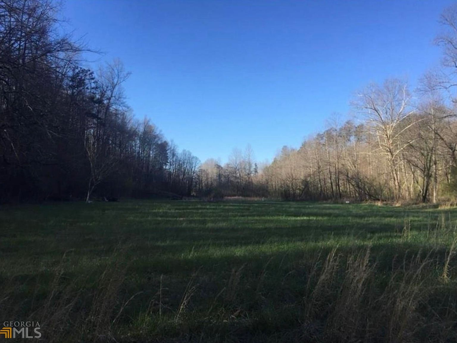 0 Gold Crest Dr Dahlonega, GA 30533 - Thumbnail 4