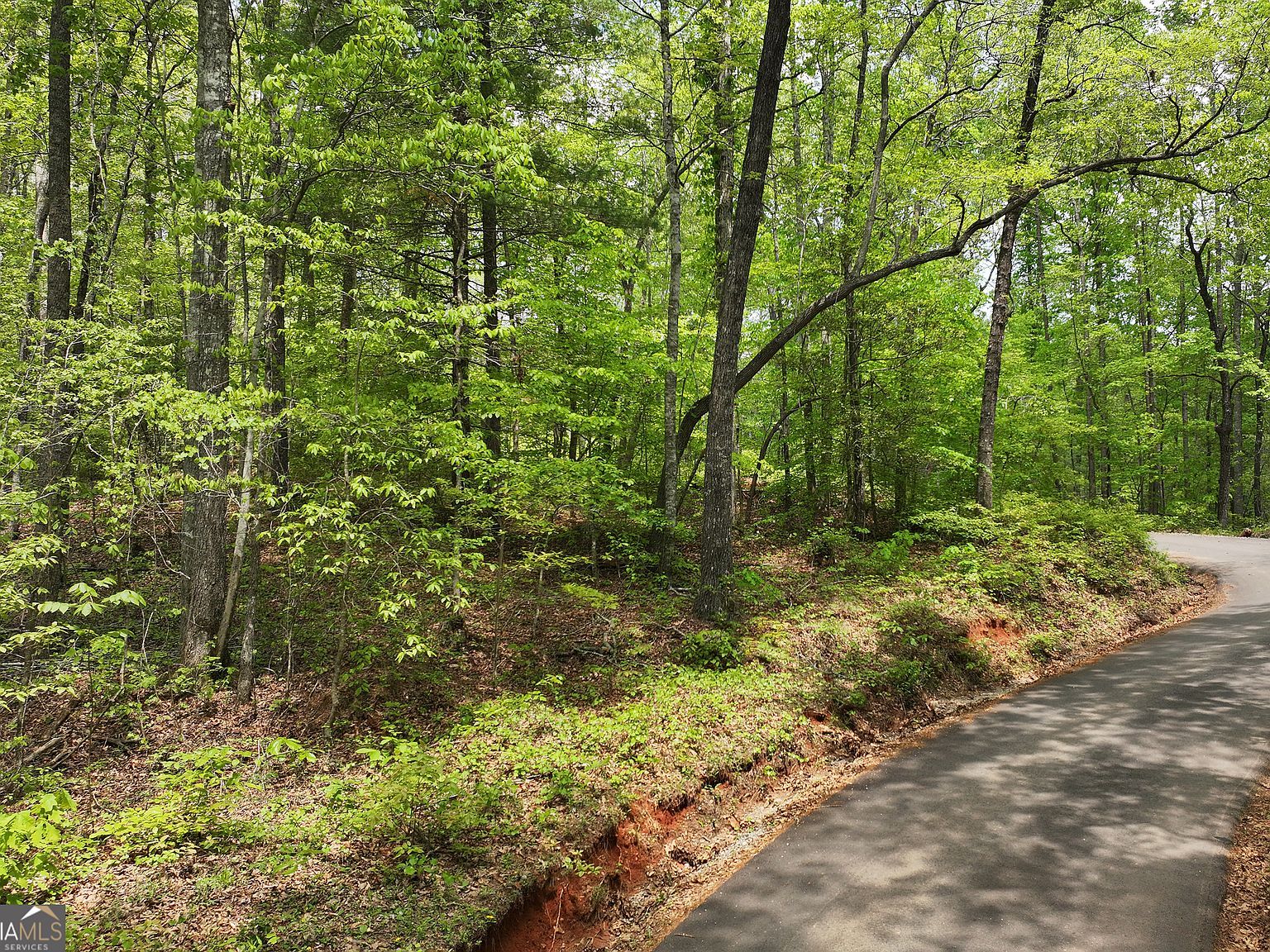 0 Lawrence Rd Dawsonville, GA 30534 - Thumbnail 4