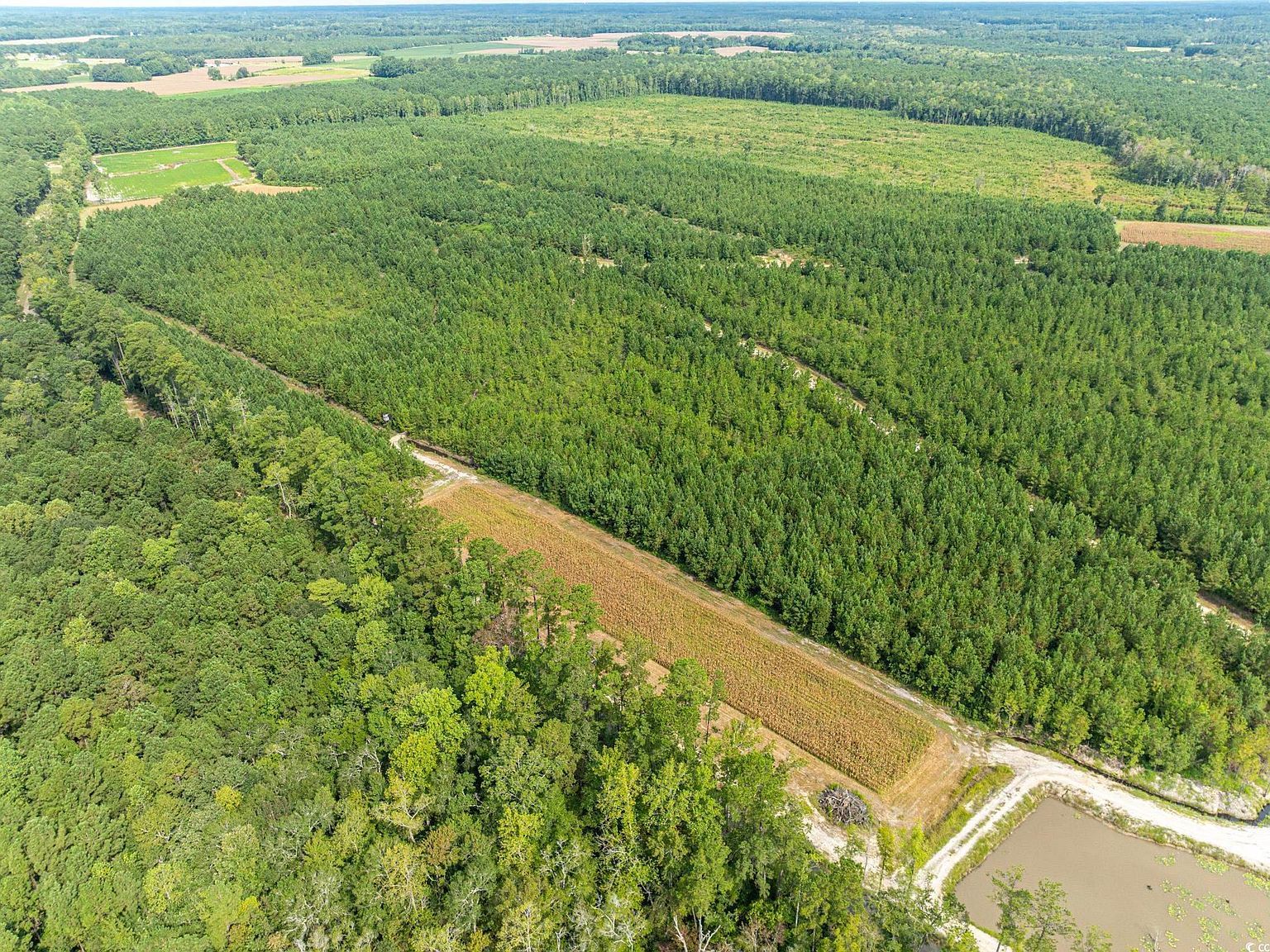 0 Where Rd Clarendon, NC 28432 - Thumbnail 4