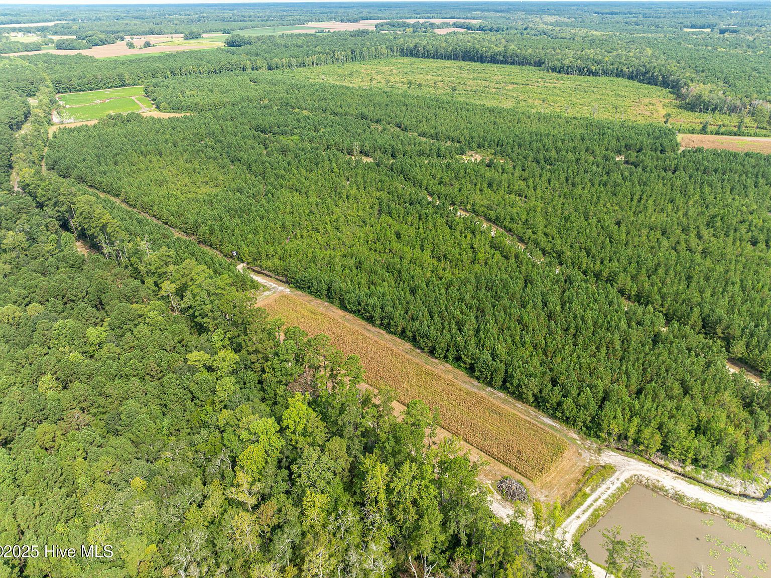 0 Butler Town Rd Clarendon, NC 28432 - Thumbnail 4