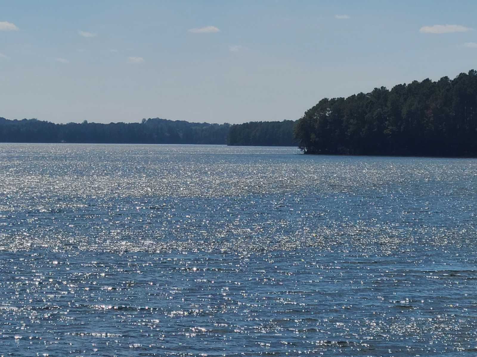 171 Goodlett Lane, Blair, SC, USA, 29015 | Land/Lot