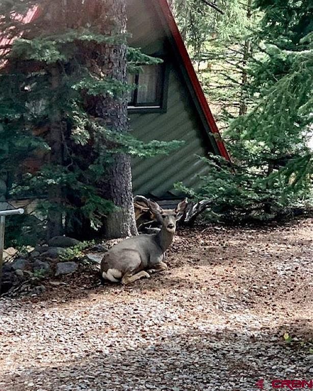 21366 Hilltop Dr Cedaredge, CO 81413 - Thumbnail 4