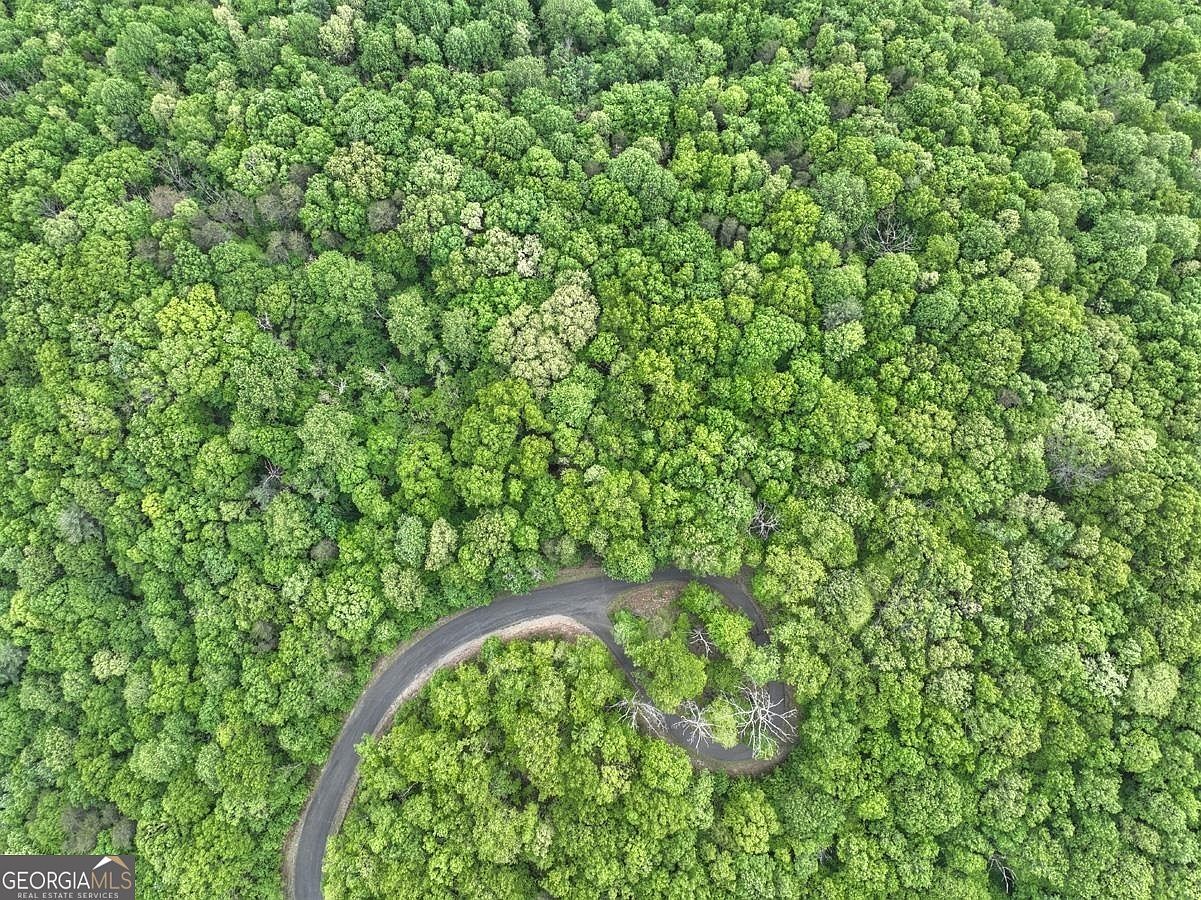 LOT 44 Autumn Fern Way Chatsworth, GA 30705 - Thumbnail 4