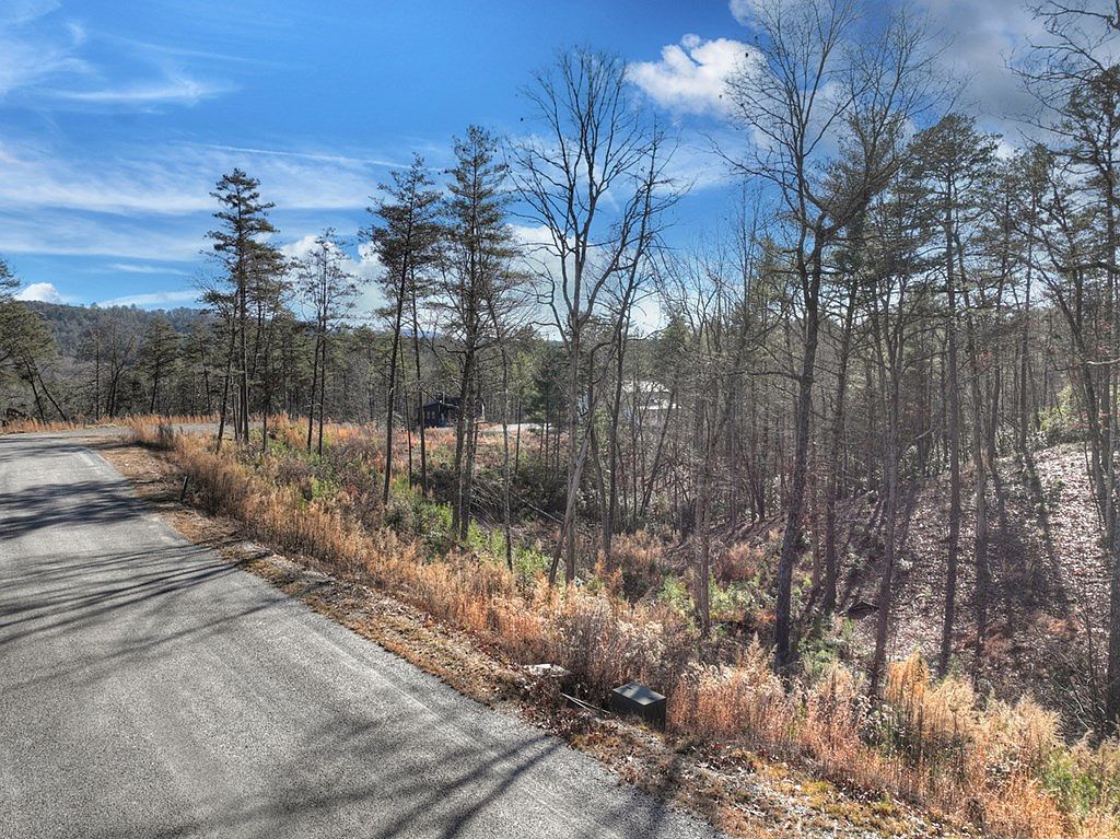 LOT 16 Mountain Laurel Dr Mineral Bluff, GA 30559 - Thumbnail 4