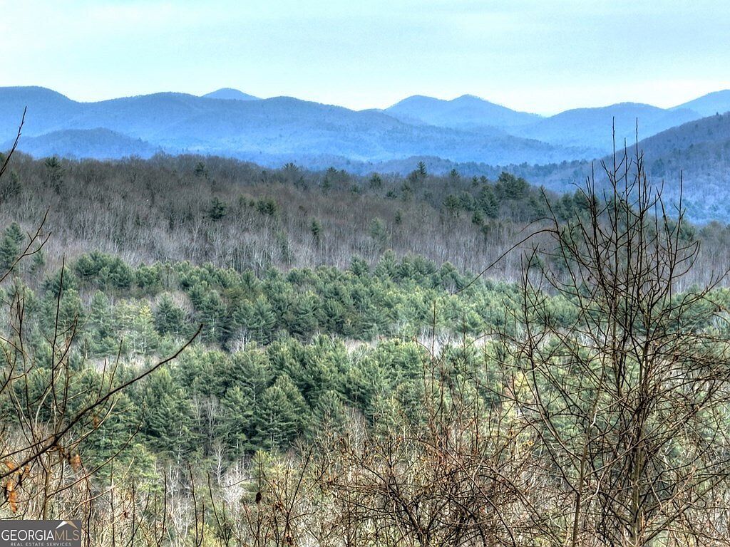 260 Observation Ln Blue Ridge, GA 30513 - Thumbnail 4