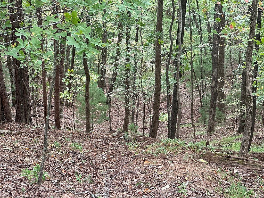 LOT A28 Laurel Ridge Dr Ellijay, GA 30536 - Thumbnail 4