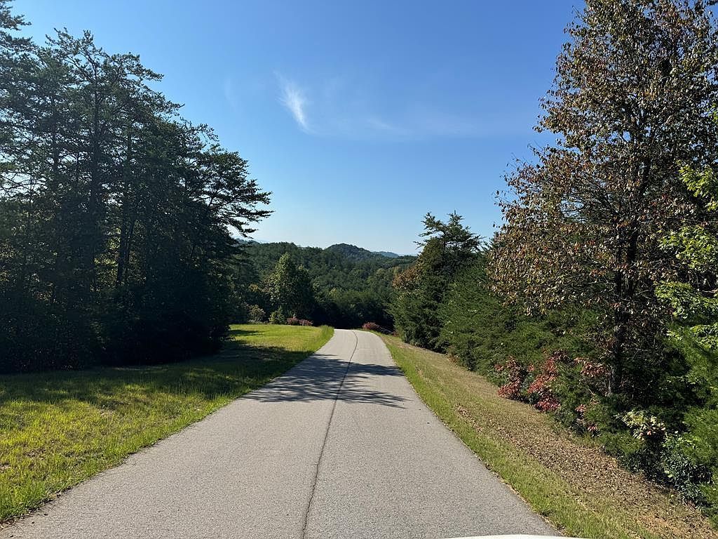 114 Blackhawk Ln Turtletown, TN 37391 - Thumbnail 4