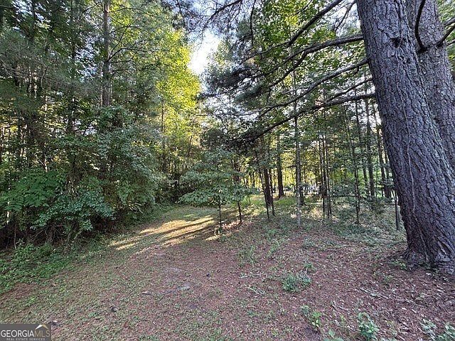 1.18 Newberry Dr Mineral Bluff, GA 30559 - Thumbnail 4
