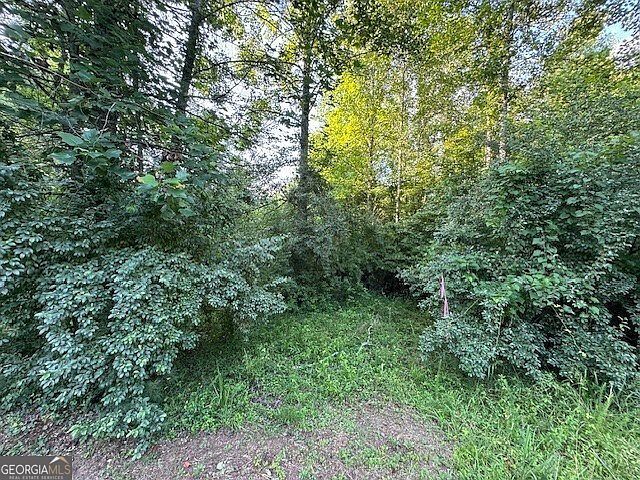 1 Newberry Dr Mineral Bluff, GA 30559 - Thumbnail 4